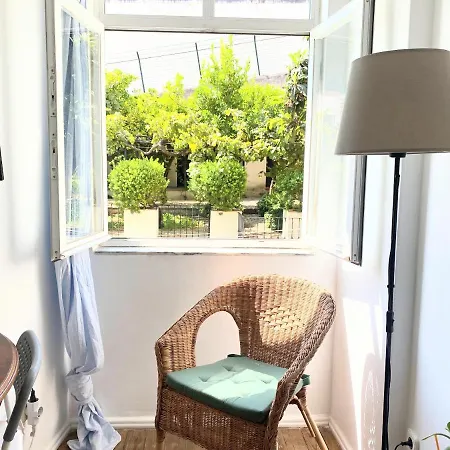 Apartment Portuguese In The Heart Of