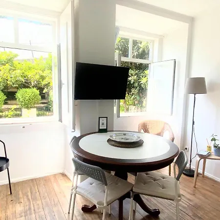 Portuguese In The Heart Of Apartment